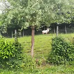 Nyaraló Barbara's Ilirska Bistrica