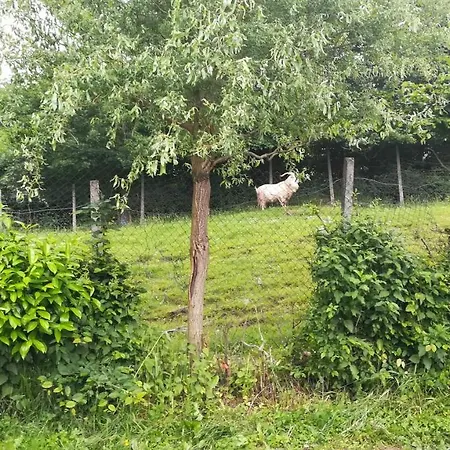 Holiday home Barbara's Ilirska Bistrica