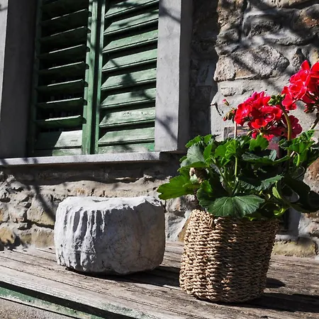 Barbara's Ilirska Bistrica