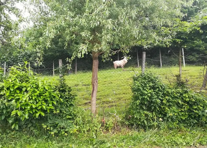 Ferienhaus Barbara's Ilirska Bistrica