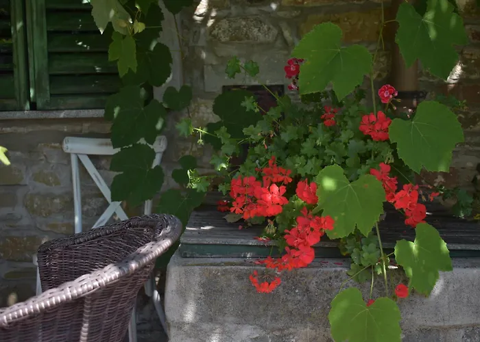 度假居 Barbara's *