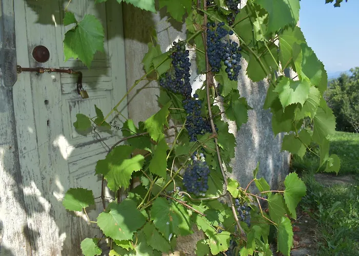 Barbara's 度假居 *