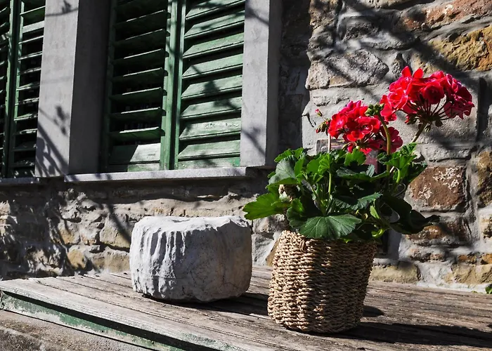 Barbara's Ilirska Bistrica