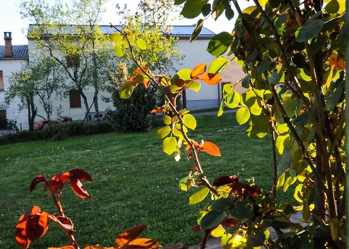 Ferienhaus Barbara's